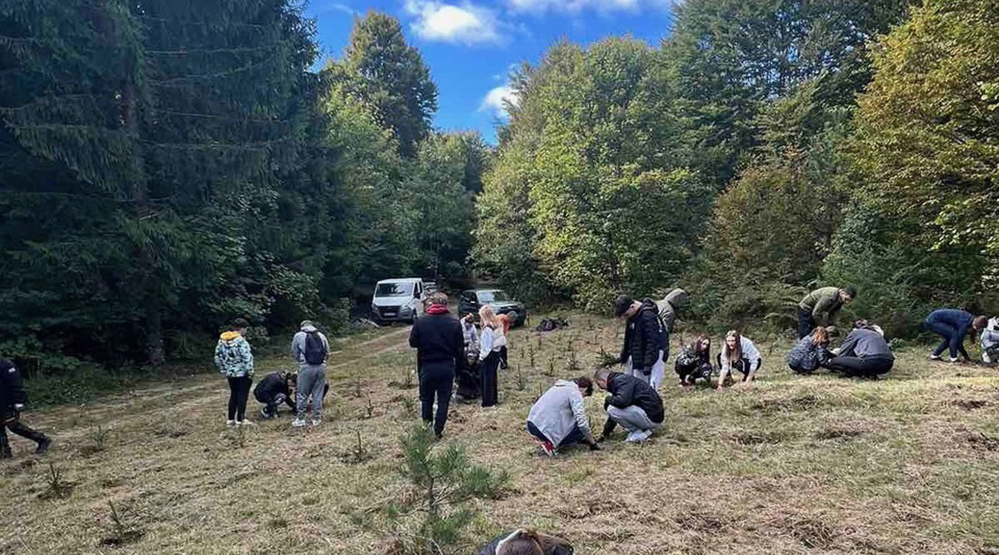 Čista umjetnost: Posađeno 2.500 sadnica za generacije koje dolaze - sadnja