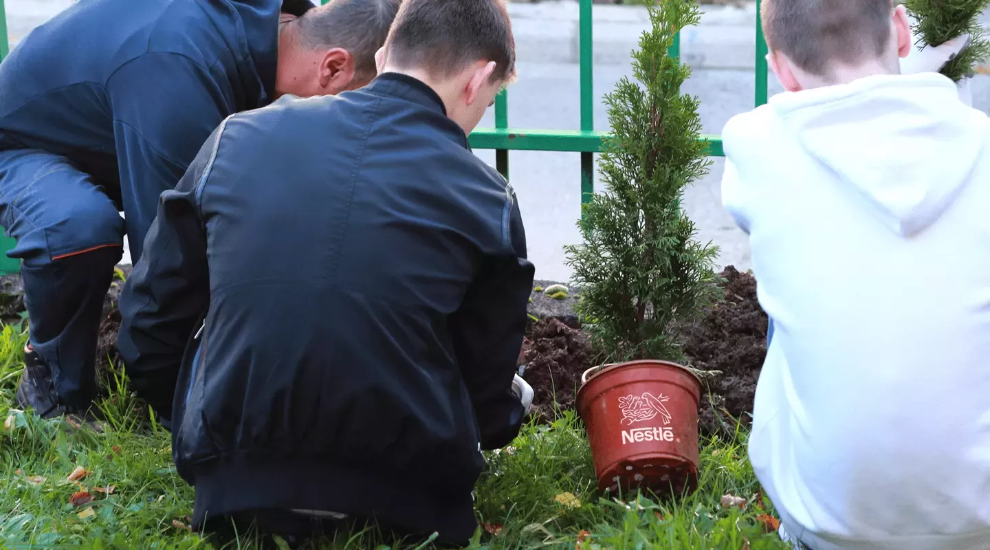 Djeca sade drveće u školi