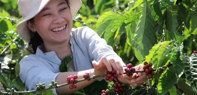 sustainable-coffee-equal-rights